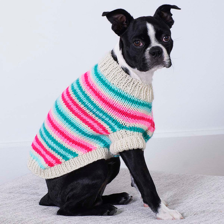 Red Heart Jazzy Stripes Dog Coat Knit Kit