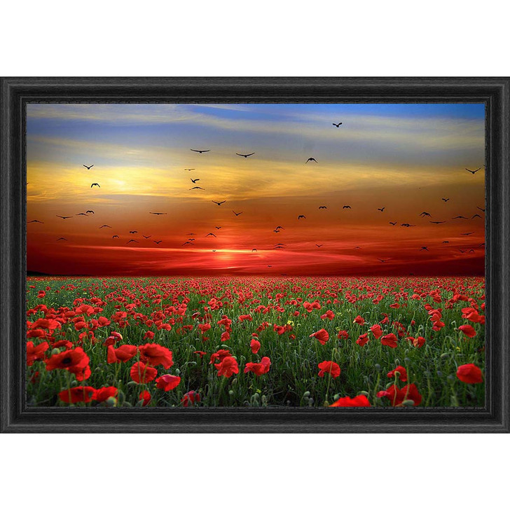 Sunrays Creations Needlearts Field of Poppies Chart & Fabric Counted Cross-Stitch