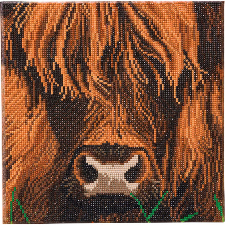 Crystal Art Highland Cow Diamond Painting