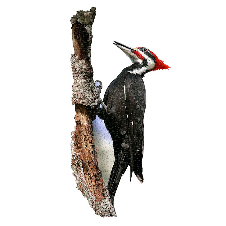 Madd Capp I Am Woodpecker Jigsaw Puzzle