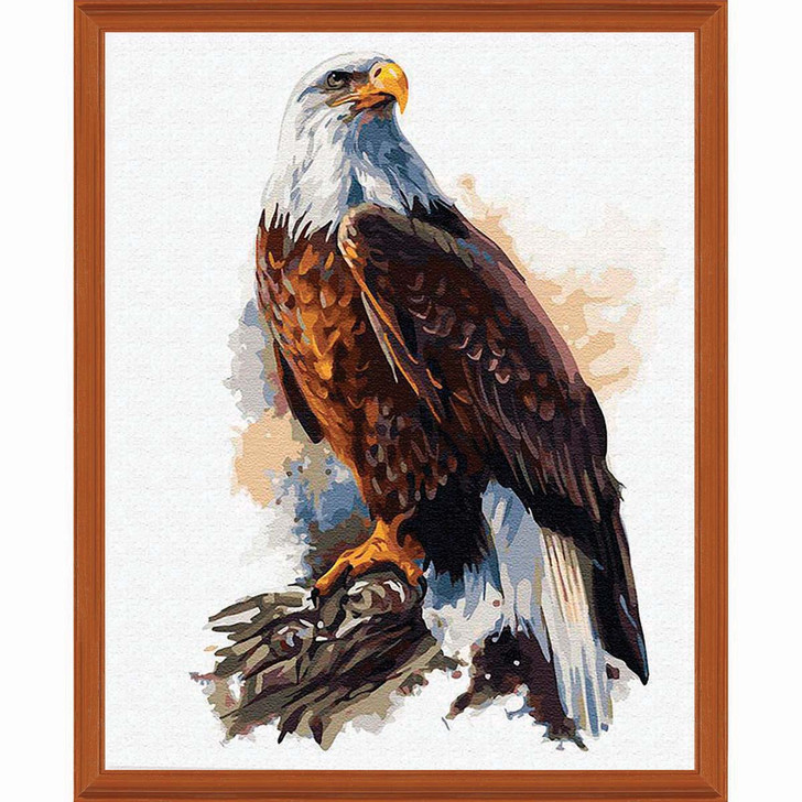 Adbrain Bald Eagle Kit & Frame Paint by Number Kit