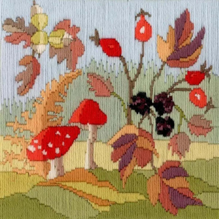 Bothy Threads Autumn Long Stitch Seasons Needlepoint Kit