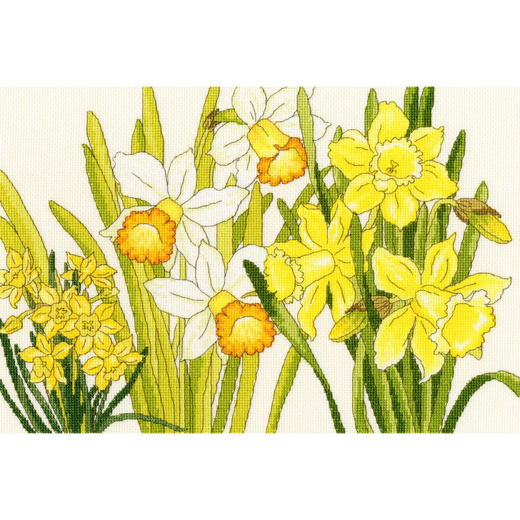 Bothy Threads Daffodil Blooms Counted Cross-Stitch Kit