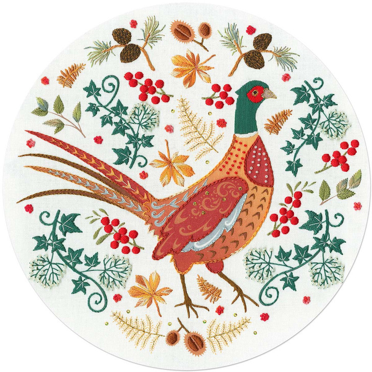 Bothy Threads Folk Pheasant Stamped Embroidery Kit