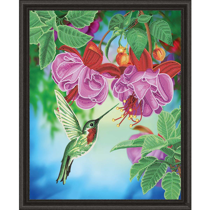 Crystal Art Hummingbird Kit & Frame Diamond Painting