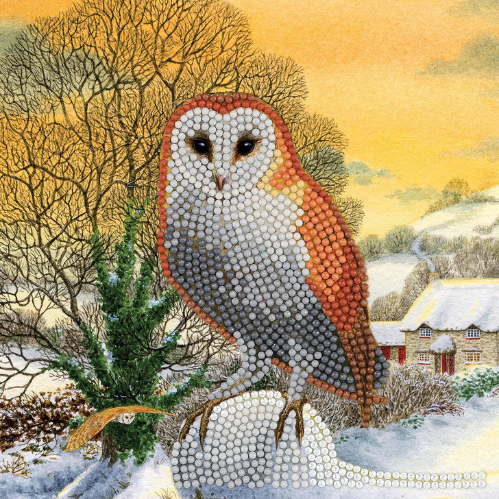 Crystal Art Winter Owl Card Diamond Painting