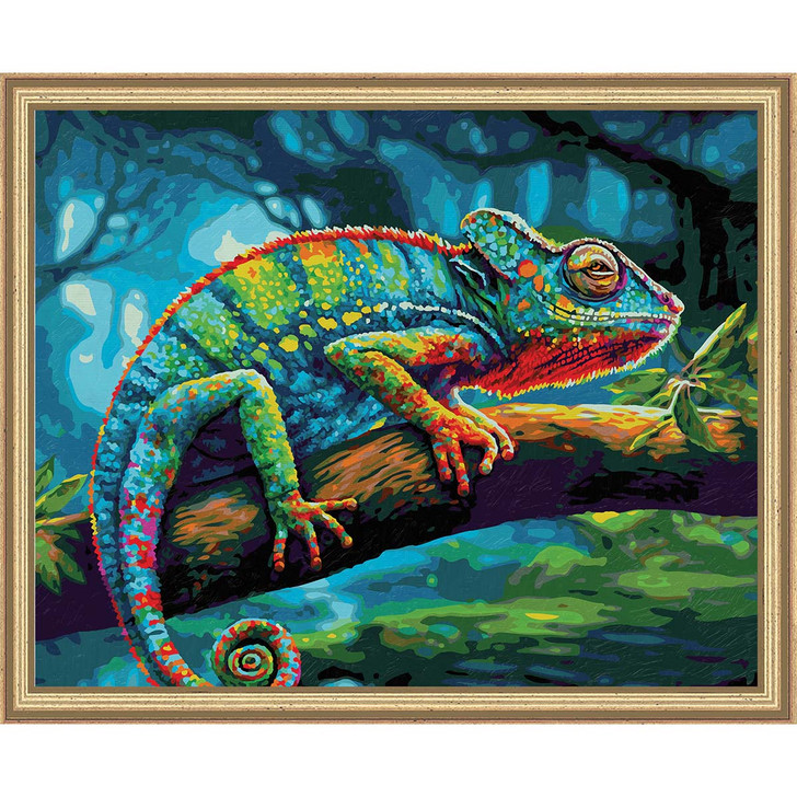 Schipper Chameleon Kit & Frame Paint by Number Kit