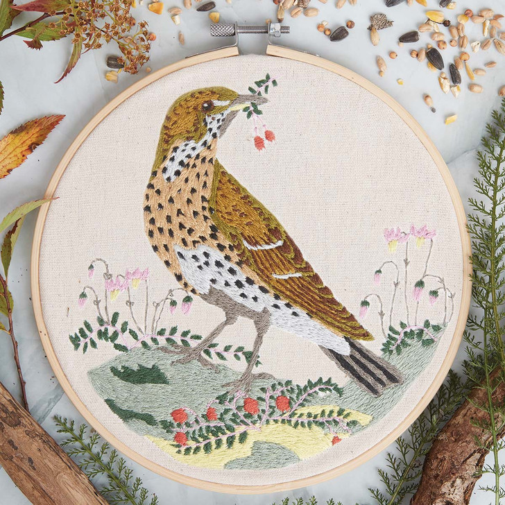 Song Thrush Hoop Stamped Embroidery Kit