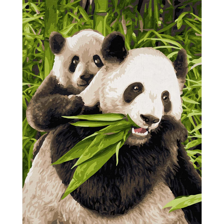 Schipper Pandas Paint by Number Kit