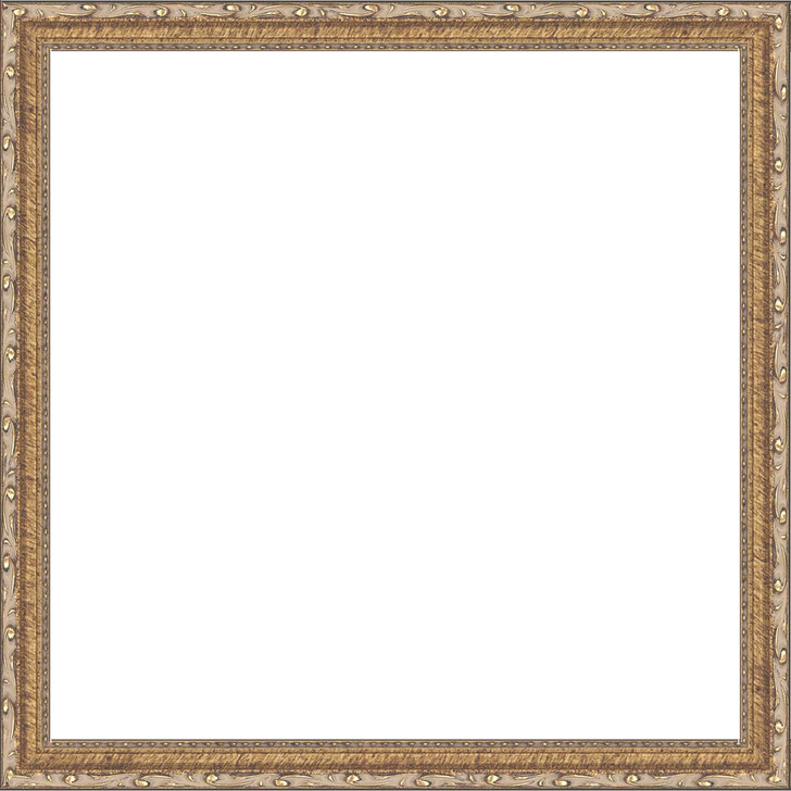 Herrschners Gold Ornate 12 x 12" (30 x 30cm) Sectional Frame