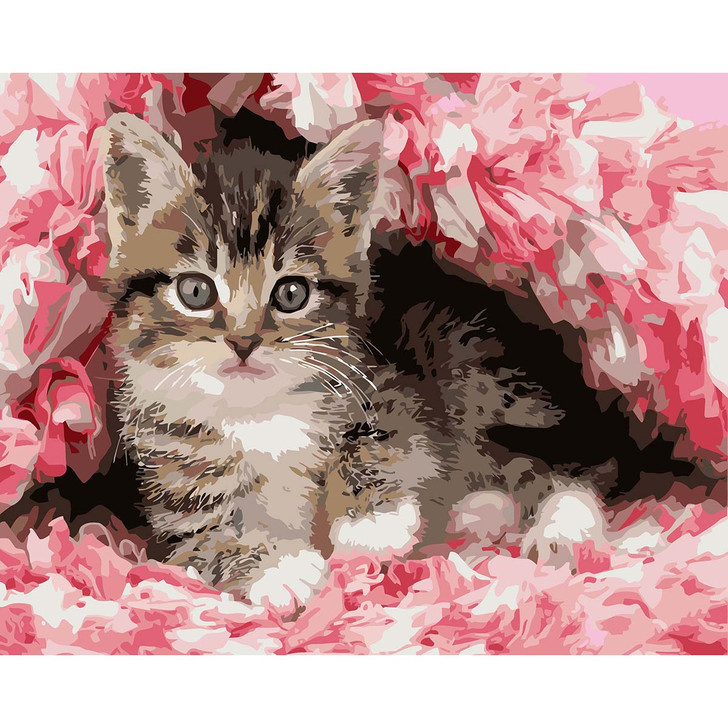 Figured Art  Cute Cat Paint by Number Kit