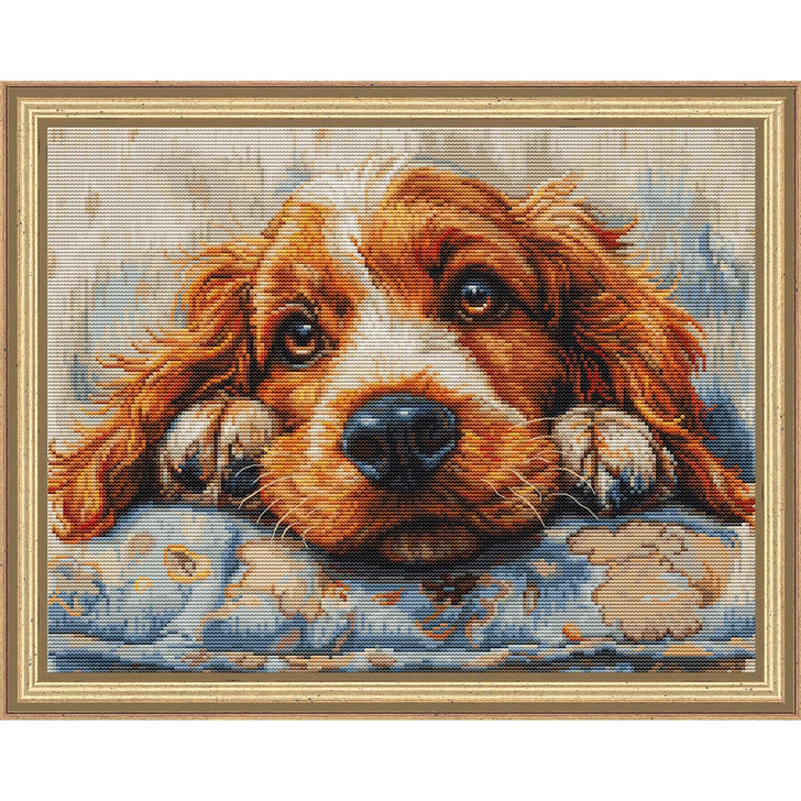 Luca-S Cocker Spaniel Counted Cross-Stitch Kit