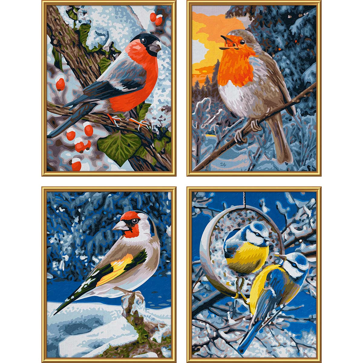 Schipper Winter Birds Paint by Number Kit