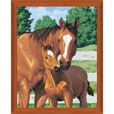 Horse & Foal Large Paint by Numbers Kit for Adults Free Shipping From  California, USA -  Australia