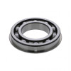 PAI 6593 Input Bearing Replaces Mack # 46AX410