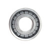 4303667 Eaton Fuller Transmission Roller Bearing