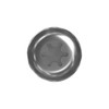 2971813 CAT Torx Head Screw