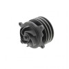 PAI Industries 381813 CAT 3208 REMAN WATER PUMP