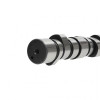 PAI Industries 691924 DETROIT 60 12.7L CAM SHAFT