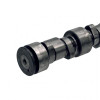 PAI Industries 391898 CAT C12 CAM SHAFT