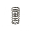 PAI Industries 8161 MACK E7 ETECH VALVE SPRING