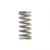 PAI Industries 8161 MACK E7 ETECH VALVE SPRING