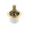 PAI Industries 481830 IH DT466 THERMOSTAT 180 DEG