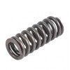 PAI Industries 692010 DETROIT EXHAUST VALVE SPRING
