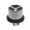 PAI Industries 681830 DETROIT 60 180DEG THERMOSTAT