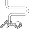710498 National Dodge Ram 1500 Rear Wheel Seal 2007-2021