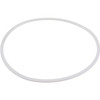 2110729 Dana Spicer Off-Highway Ring-Back Up