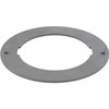 107925 Dana Spicer Off-Highway Thrust Washer