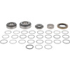 A20KV101 Dana Spicer Off-Highway Pinion Bearing Seal- Kit(Sub)
