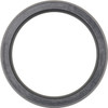123779 Dana Spicer Off-Highway Oil Seal