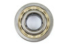 4207466 Dana Spicer Off-Highway Ball Bearing