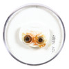 Truck-Lite 10202C 10 Series M/C Light