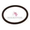 5X1066 Rockwell Meritor Transmission O Ring