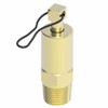 Aeroquip Air Vent Valve Brass | 1421-60A