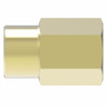 Aeroquip Adapter Brass NPTF/NPSM Straight Female NPTF Reducer | 3300X8X6
