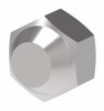Aeroquip Seal Cap SAE 45 Degree Brass | 40X10