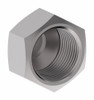 Aeroquip Seal Cap SAE 45 Degree Brass | 40X10