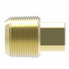 Aeroquip Pipe Plug Square Head Brass | 3151X4