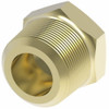 Aeroquip Brass Pipe Plug Adapter with Sealant | 3152X6Z