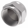 Aeroquip Adapter Cap Carbon Steel | 210292-24S