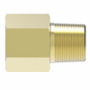 Aeroquip Brass NPTF Adapter with Sealant | 3200X6Z