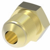 Aeroquip Plug 1/4 Tube Brass | 39X4