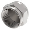 Aeroquip Adapter 37 Degree Cap Carbon Steel | 210292-20S-BG