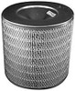 Baldwin Filters PA2465 Air Element with Bolt