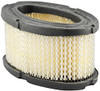 Baldwin Filters PA2258 Oval Air Element