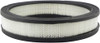 Baldwin Filters PA658 Air Element